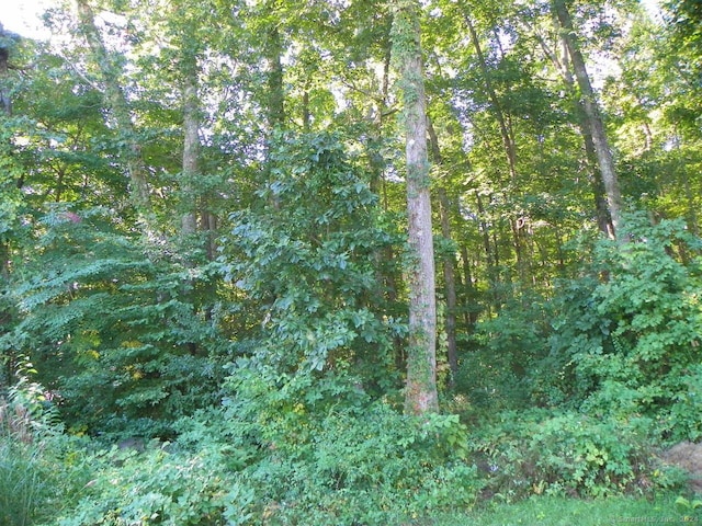100 Cross Rd, Waterford, CT 06385 - photo 4