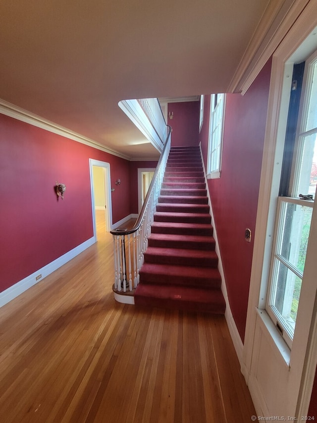 stairs featuring wood-type flooring and crown molding