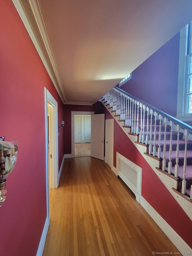 corridor featuring wood-type flooring, radiator, and crown molding