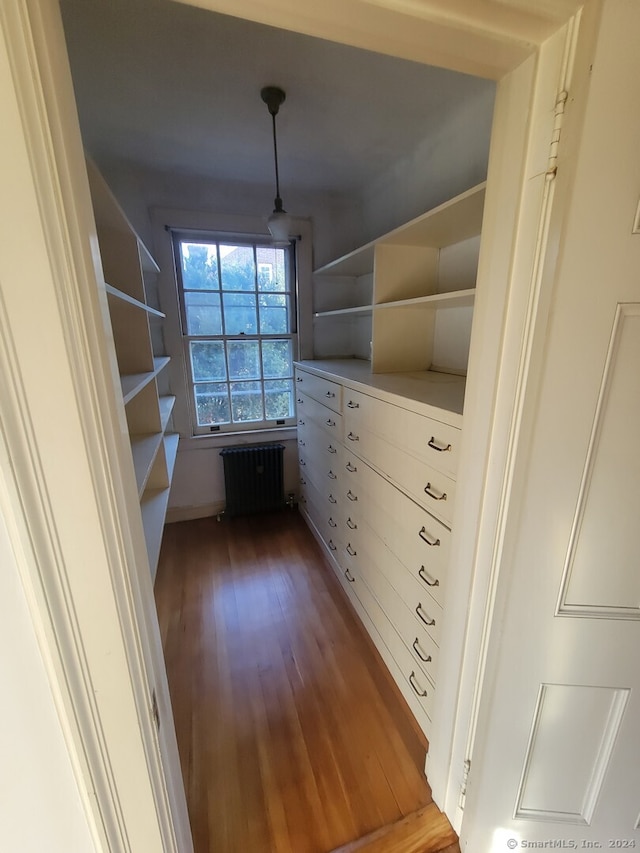 spacious closet with hardwood / wood-style floors and radiator