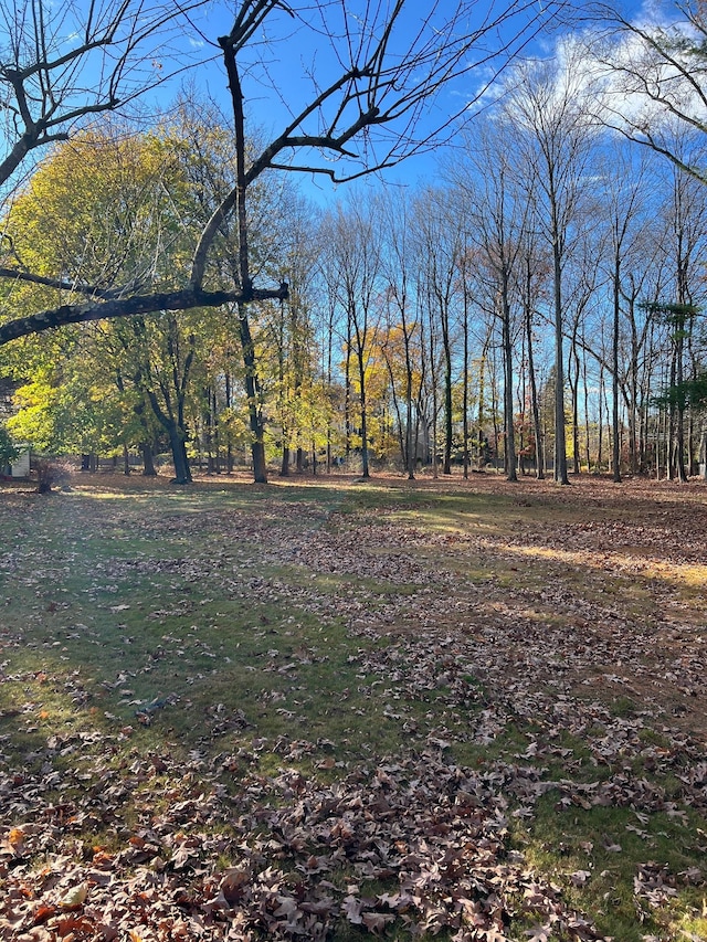 4 Newtown Tpke, Westport, CT 06880 - photo 6