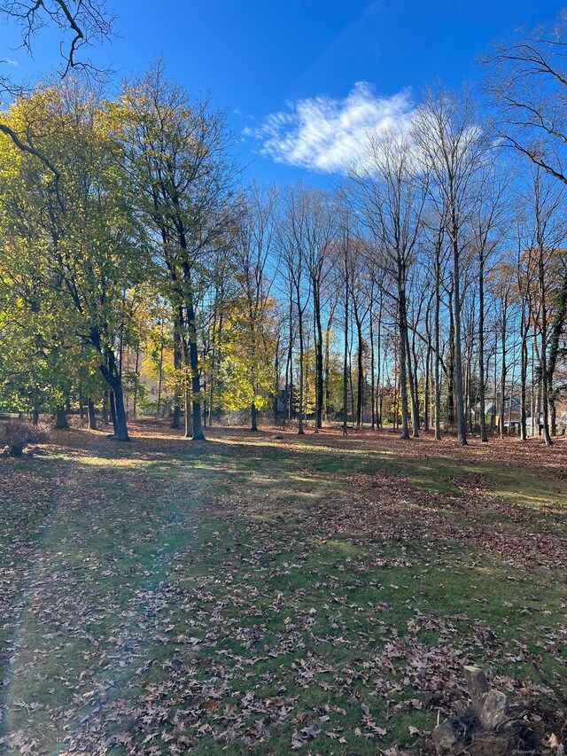 4 Newtown Tpke, Westport, CT 06880 - photo 7