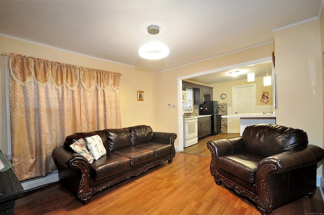 living room featuring baseboard heating, crown molding, light hardwood / wood-style flooring, and sink