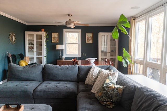 living room with hardwood / wood-style flooring, ceiling fan, and ornamental molding