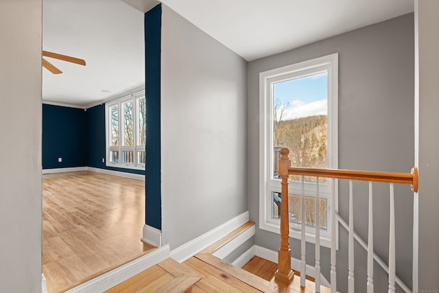 entryway featuring hardwood / wood-style flooring, plenty of natural light, and ceiling fan