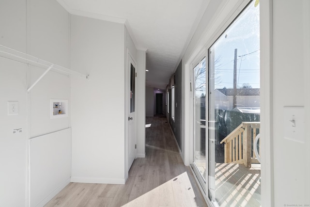 washroom with crown molding, hookup for a washing machine, and light hardwood / wood-style flooring