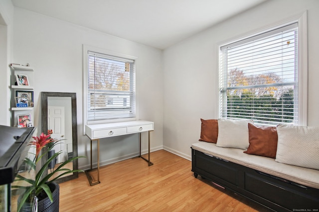 sitting room with light wood-type flooring