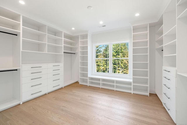 walk in closet featuring light hardwood / wood-style floors