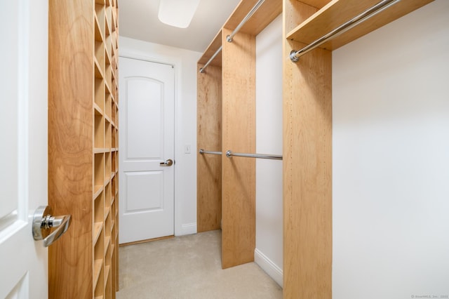 walk in closet featuring light colored carpet