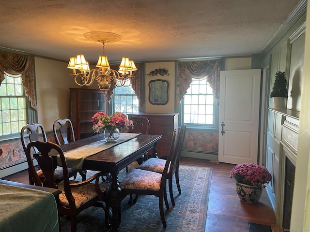 dining area featuring a textured ceiling, dark hardwood / wood-style floors, and a wealth of natural light