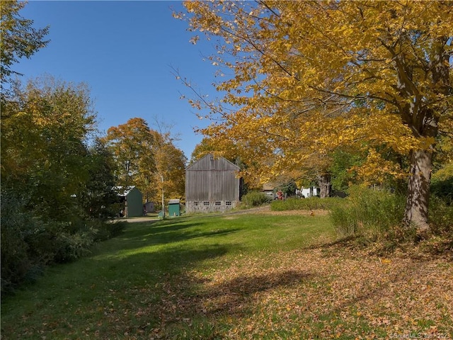 view of yard with a storage shed