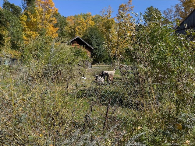 view of local wilderness