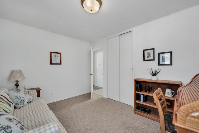 living area featuring carpet flooring