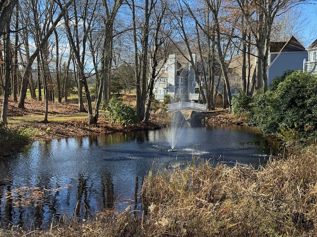 water view