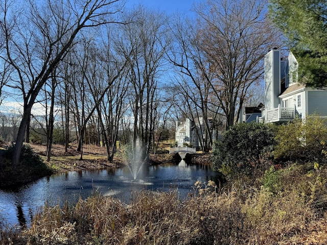 view of water feature