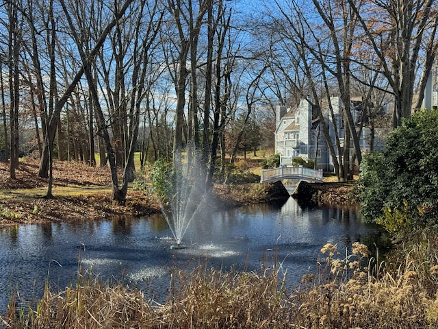 view of water feature