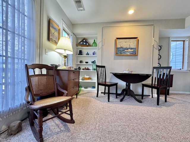 living area featuring carpet flooring, built in shelves, and a wealth of natural light