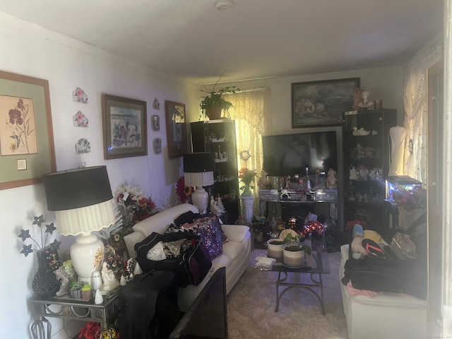 carpeted living room featuring ornamental molding