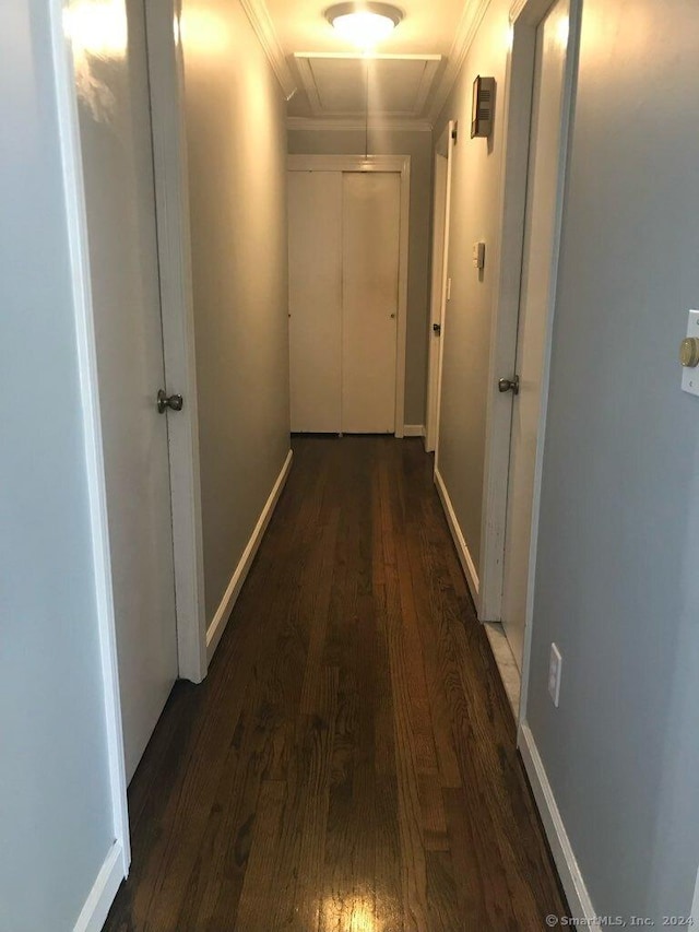 hallway featuring dark hardwood / wood-style floors and crown molding