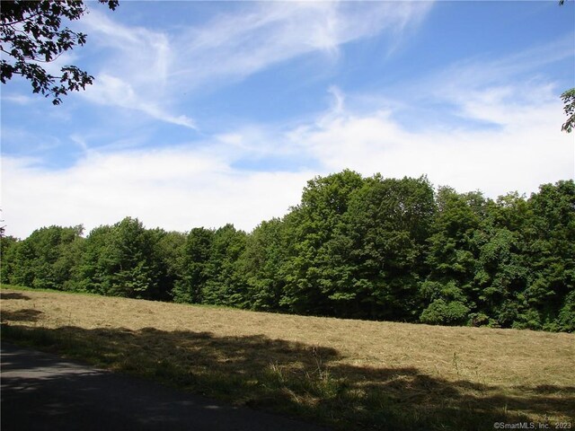 LOT5 Milton Rd, Goshen, CT 06756 - photo 3