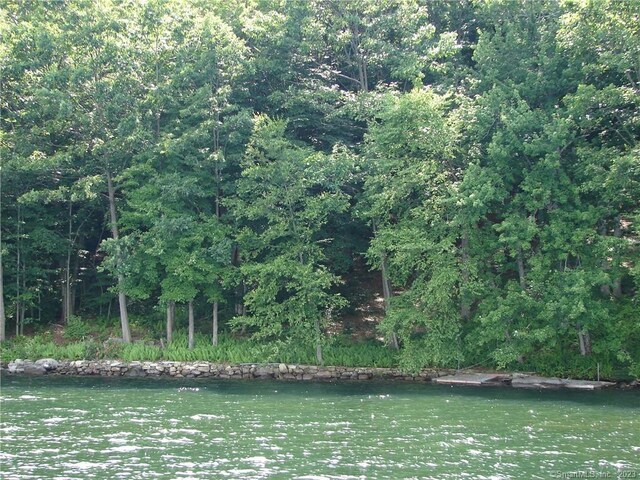 LOT5 Milton Rd, Goshen, CT 06756 - photo 9