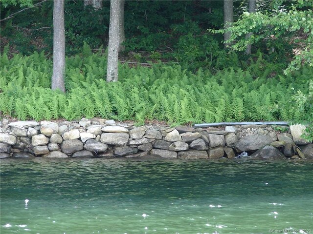 LOT5 Milton Rd, Goshen, CT 06756 - photo 10