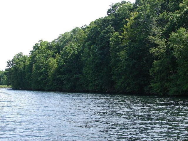 LOT5 Milton Rd, Goshen, CT 06756 - photo 11