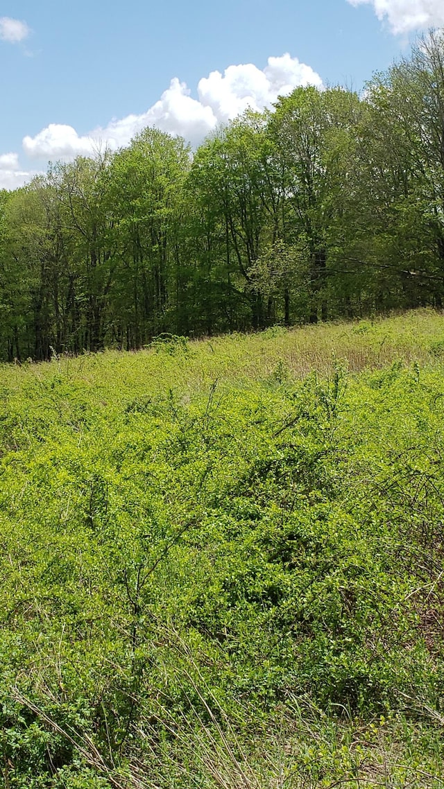 LOT5 Milton Rd, Goshen, CT 06756