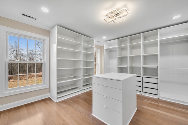 walk in closet with light wood-type flooring