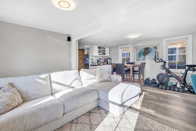 living room featuring light hardwood / wood-style flooring and a healthy amount of sunlight