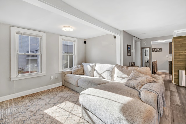 living room with hardwood / wood-style flooring