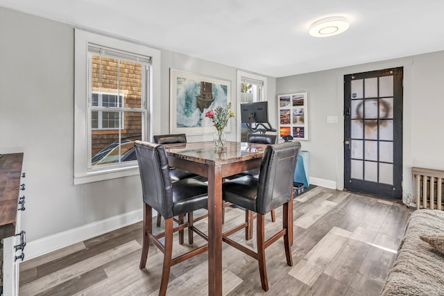 dining room with hardwood / wood-style floors and a wealth of natural light