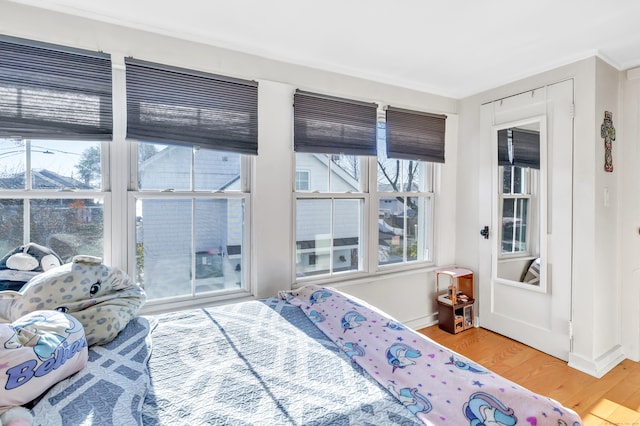 bedroom featuring multiple windows and wood-type flooring