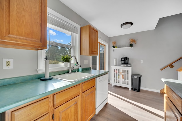 kitchen featuring dishwasher, hardwood / wood-style flooring, and sink