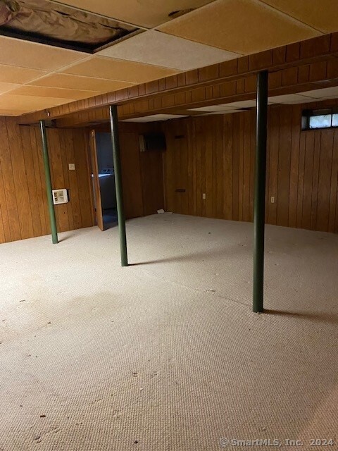 basement featuring carpet flooring and wood walls