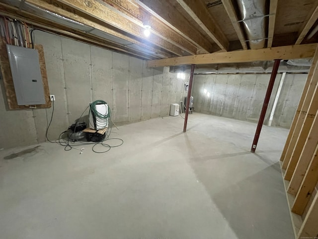 basement with electric panel