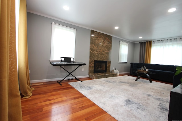 living room with wood-type flooring, a large fireplace, and crown molding