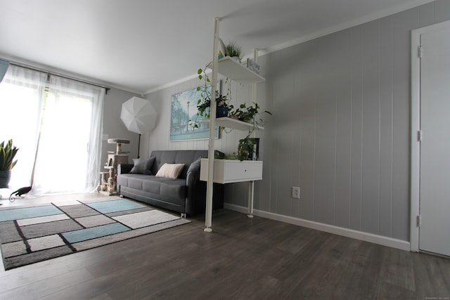 living room featuring crown molding and dark wood-type flooring