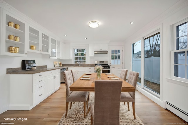 dining room with a baseboard radiator, a healthy amount of sunlight, and light hardwood / wood-style floors