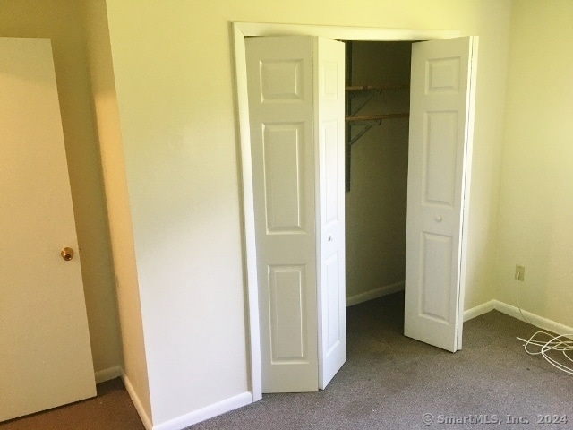 unfurnished bedroom with a closet and carpet floors