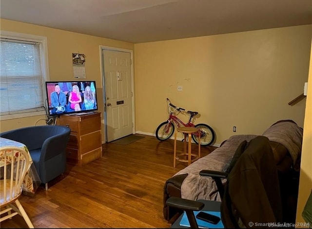 living room featuring wood-type flooring