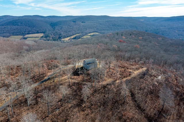 birds eye view of property featuring a mountain view