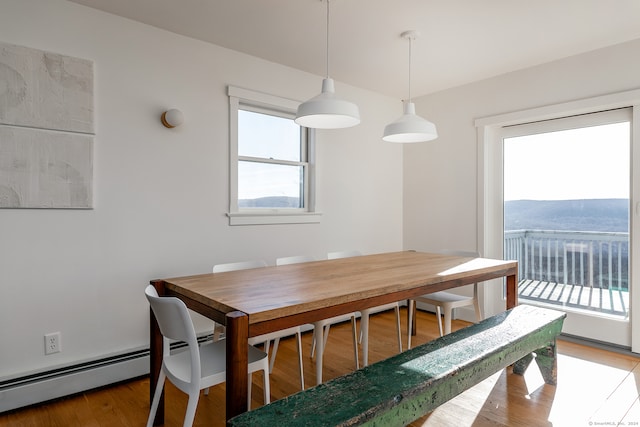 dining room with hardwood / wood-style flooring and a healthy amount of sunlight