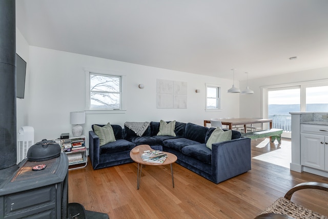 living room featuring a wealth of natural light and light wood-type flooring