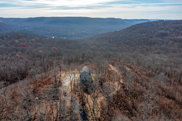 view of mountain feature