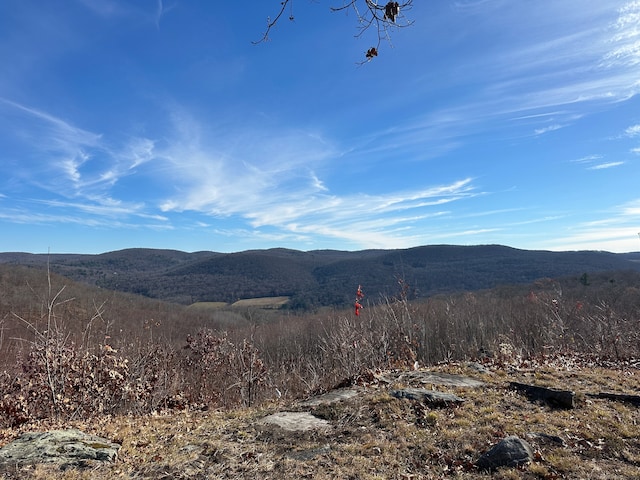 property view of mountains