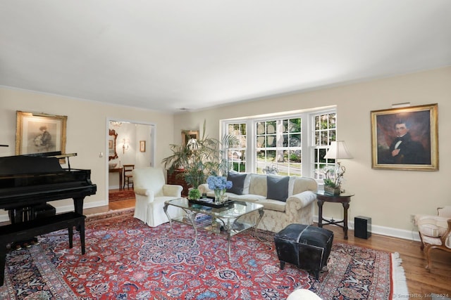 living room with hardwood / wood-style flooring