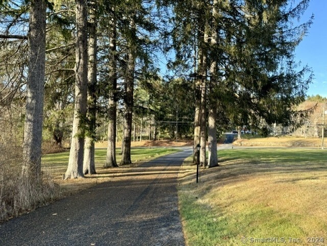 surrounding community featuring a yard