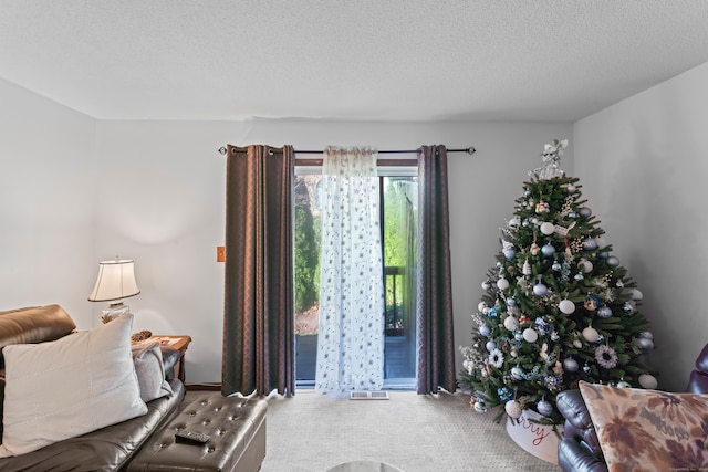 carpeted living room with a textured ceiling