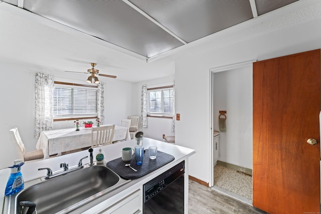 kitchen featuring black dishwasher, light hardwood / wood-style flooring, ceiling fan, and sink